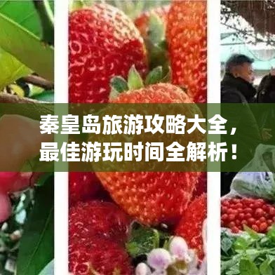 秦皇島旅游攻略大全，最佳游玩時間全解析！