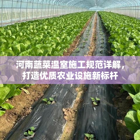 河南蔬菜溫室施工規范詳解,打造優質農業設施新標桿