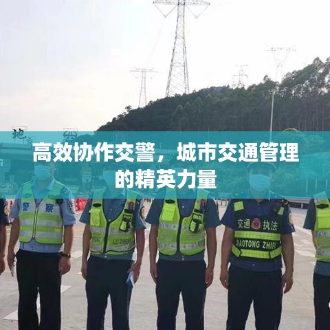 高效協(xié)作交警，城市交通管理的精英力量