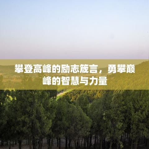 攀登高峰的勵(lì)志箴言,勇攀巔峰的智慧與力量