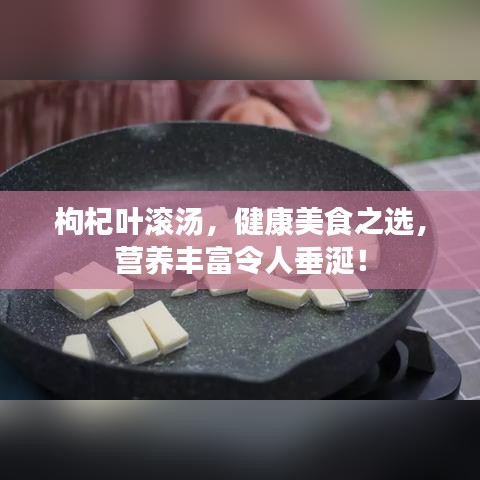 枸杞葉滾湯,健康美食之選,營養豐富令人垂涎!