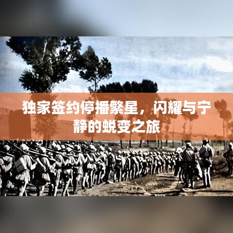 獨家簽約停播繁星,閃耀與寧靜的蛻變之旅