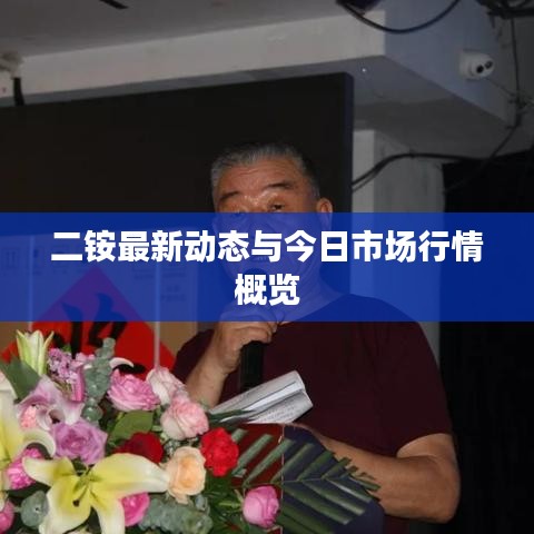 二銨最新動態與今日市場行情概覽