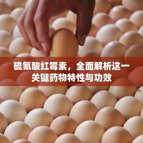 硫氰酸紅霉素,全面解析這一關鍵藥物特性與功效