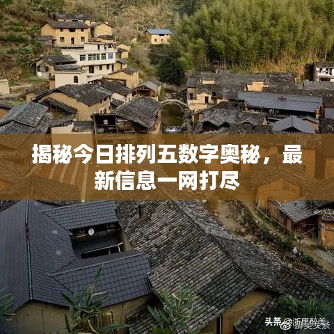 揭秘今日排列五數字奧秘,最新信息一網打盡