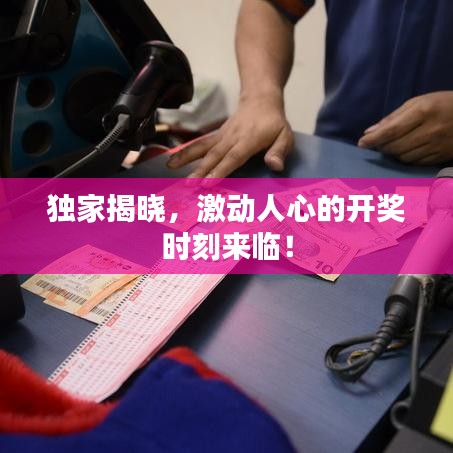 獨家揭曉,激動人心的開獎時刻來臨!