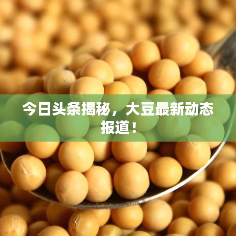 今日頭條揭秘,大豆最新動態報道!