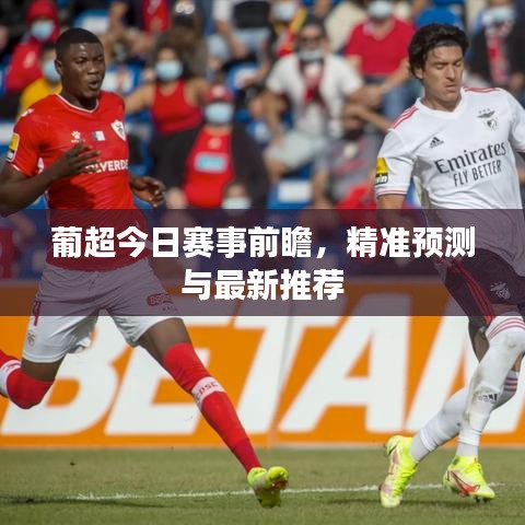 葡超今日賽事前瞻,精準預測與最新推薦