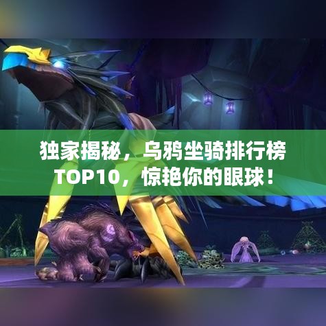 獨家揭秘,烏鴉坐騎排行榜TOP10,驚艷你的眼球!