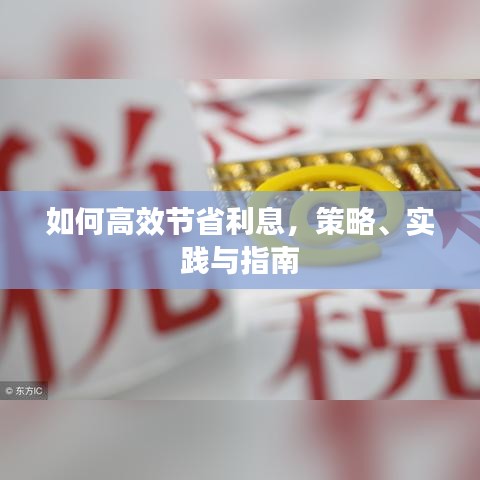 如何高效節省利息，策略、實踐與指南