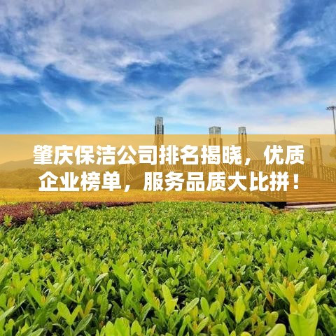 肇慶保潔公司排名揭曉,優(yōu)質企業(yè)榜單,服務品質大比拼!