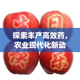 探索豐產(chǎn)高效藥,農(nóng)業(yè)現(xiàn)代化新動(dòng)力揭秘