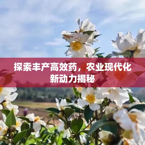 探索豐產(chǎn)高效藥,農(nóng)業(yè)現(xiàn)代化新動(dòng)力揭秘