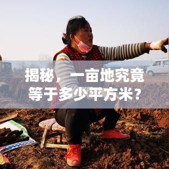 揭秘，一畝地究竟等于多少平方米？土地面積轉換全解析！