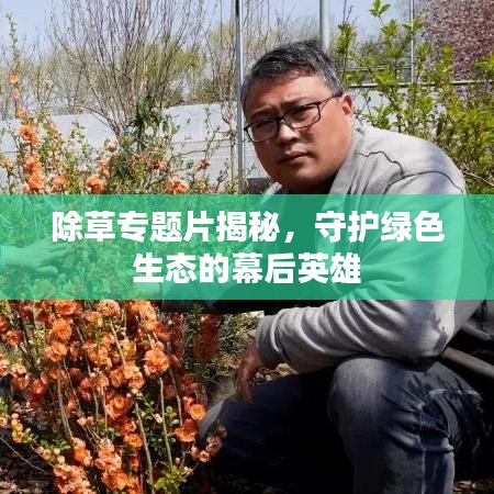 除草專題片揭秘,守護(hù)綠色生態(tài)的幕后英雄