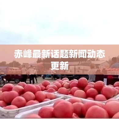 赤峰最新話題新聞動態更新