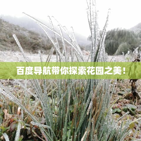 百度導(dǎo)航帶你探索花園之美!