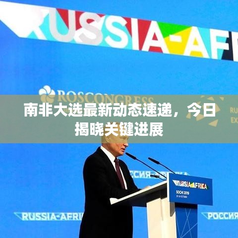 南非大選最新動態速遞,今日揭曉關鍵進展