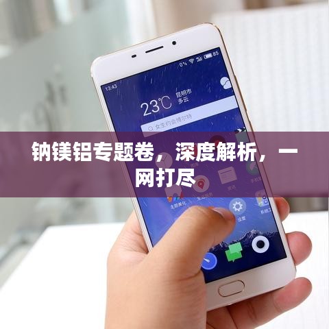 鈉鎂鋁專題卷,深度解析,一網打盡