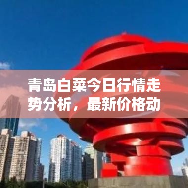 青島白菜今日行情走勢分析，最新價格動態解讀