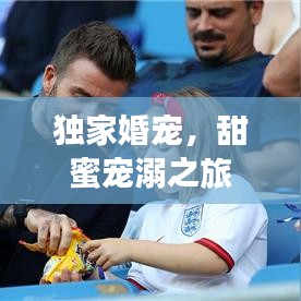 獨家婚寵,甜蜜寵溺之旅