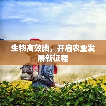 生物高效磷,開啟農(nóng)業(yè)發(fā)展新征程