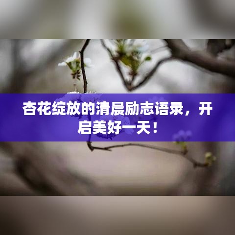 杏花綻放的清晨勵志語錄,開啟美好一天!