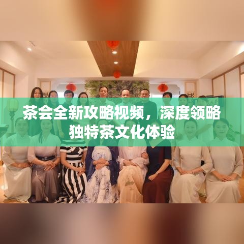 茶會全新攻略視頻,深度領略獨特茶文化體驗