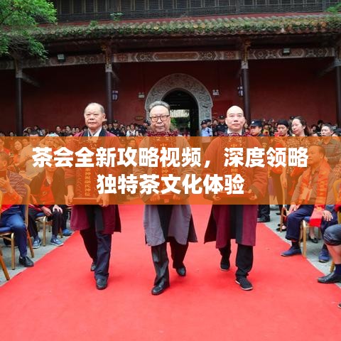 茶會全新攻略視頻,深度領略獨特茶文化體驗