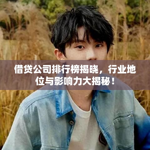 借貸公司排行榜揭曉,行業地位與影響力大揭秘!