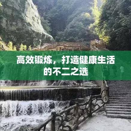 高效鍛煉,打造健康生活的不二之選