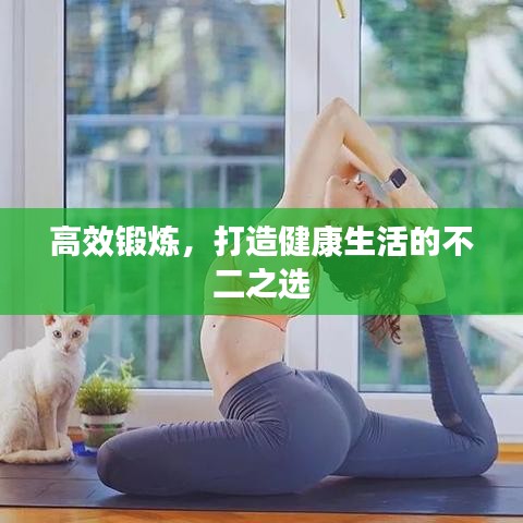 高效鍛煉,打造健康生活的不二之選