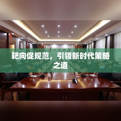 靶向促規范,引領新時代策略之道