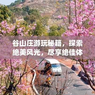 谷山莊游玩秘籍,探索絕美風光,盡享絕佳體驗!
