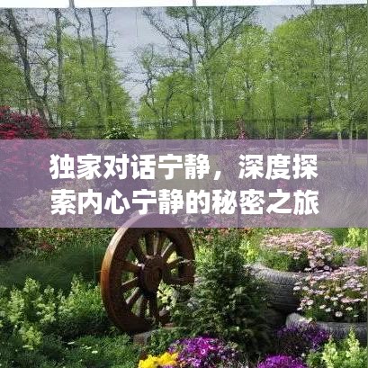 獨家對話寧靜,深度探索內(nèi)心寧靜的秘密之旅