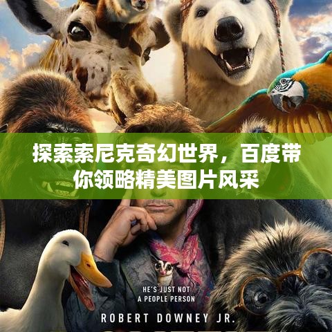 探索索尼克奇幻世界,百度帶你領(lǐng)略精美圖片風(fēng)采