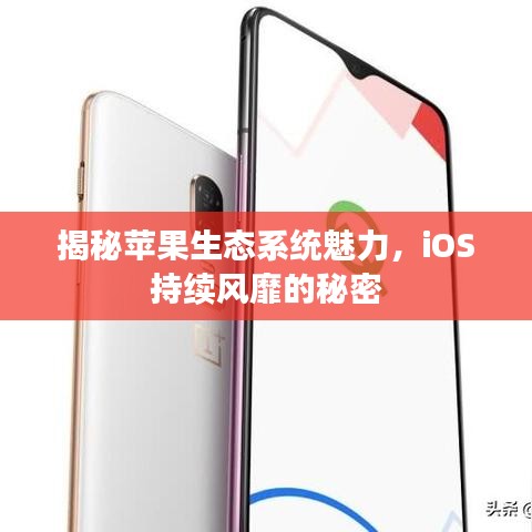 揭秘蘋果生態系統魅力,iOS持續風靡的秘密