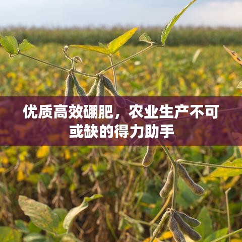 優質高效硼肥，農業生產不可或缺的得力助手