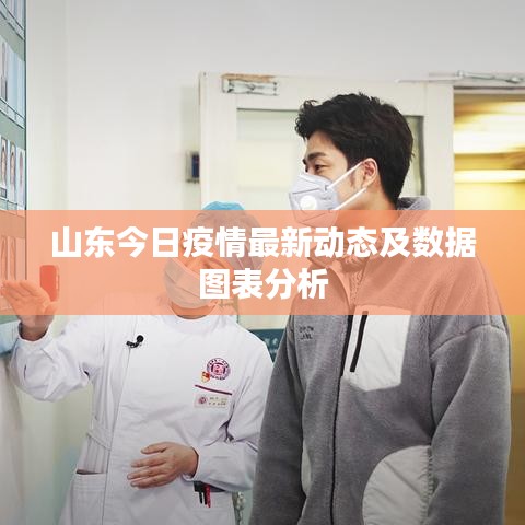 山東今日疫情最新動態及數據圖表分析