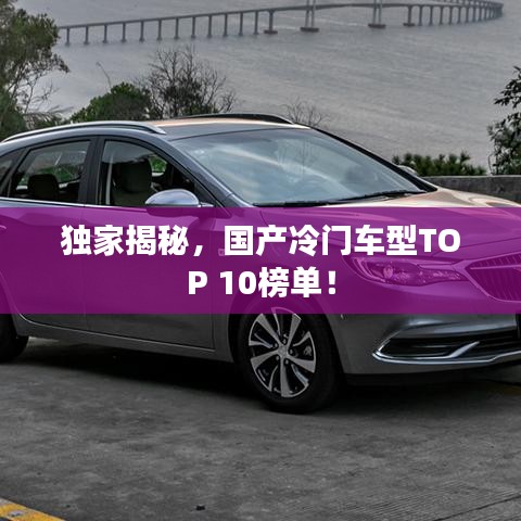 獨(dú)家揭秘，國產(chǎn)冷門車型TOP 10榜單！