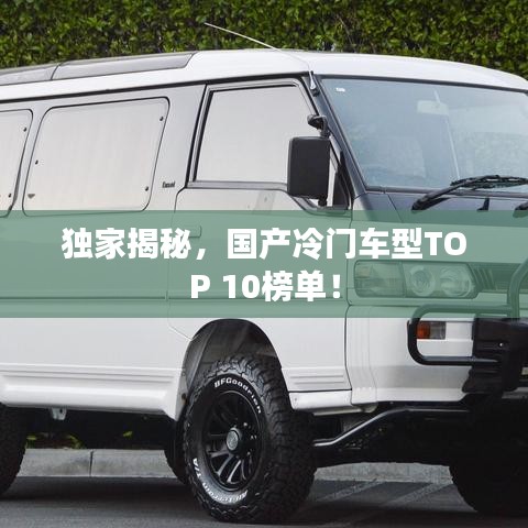 獨(dú)家揭秘,國產(chǎn)冷門車型TOP 10榜單!