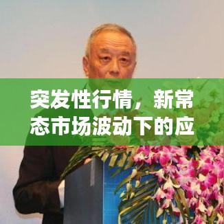 突發(fā)性行情,新常態(tài)市場波動(dòng)下的應(yīng)對策略挑戰(zhàn)與機(jī)遇