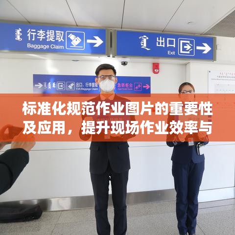 標準化規范作業圖片的重要性及應用,提升現場作業效率與安全管理水平