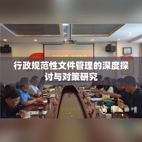 行政規(guī)范性文件管理的深度探討與對策研究
