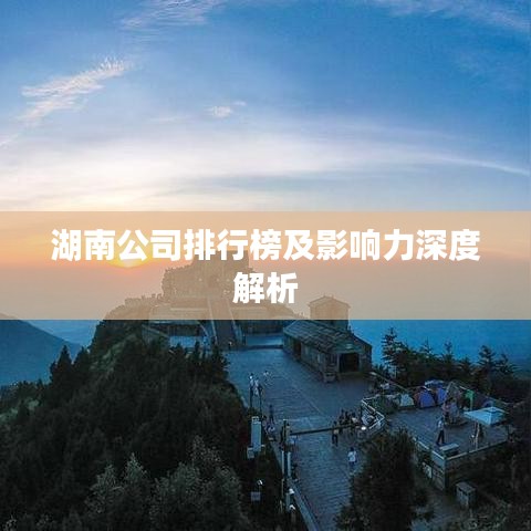 湖南公司排行榜及影響力深度解析