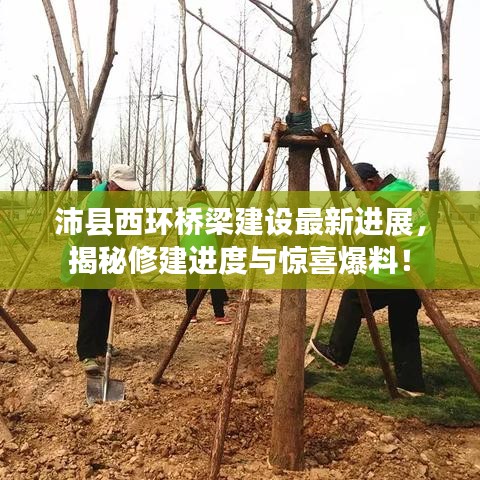 沛縣西環橋梁建設最新進展，揭秘修建進度與驚喜爆料！