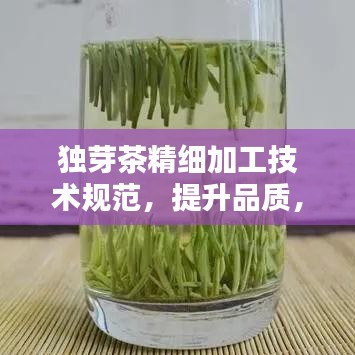 獨芽茶精細加工技術規范,提升品質,百度收錄必備指南