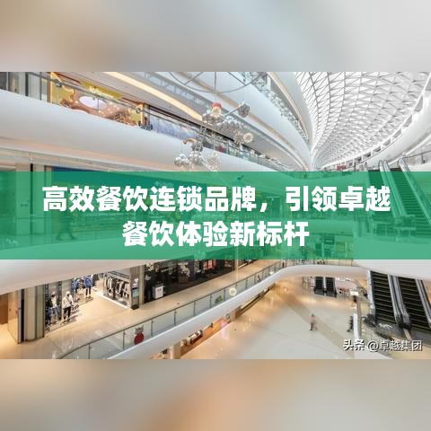 高效餐飲連鎖品牌,引領(lǐng)卓越餐飲體驗新標桿