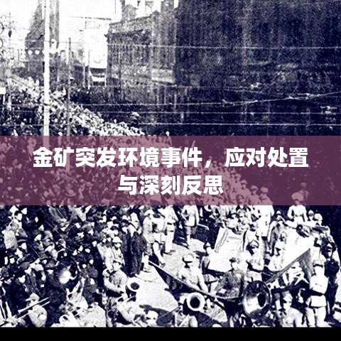金礦突發(fā)環(huán)境事件,應(yīng)對(duì)處置與深刻反思
