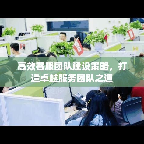 高效客服團隊建設策略,打造卓越服務團隊之道